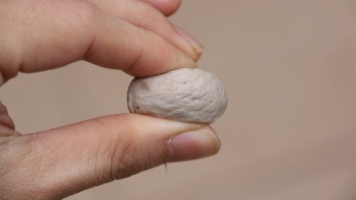 做肉丸用什么可以代替高彈素達(dá)到增彈增脆的效果？