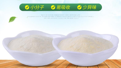 牛皮酶解提取牛皮膠原蛋白肽生產(chǎn)工藝是什么？