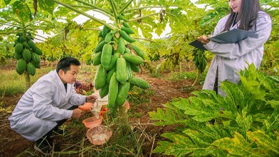 酶制劑公司排名：哪個廠家在食品、飼料、工業(yè)領(lǐng)域拔得頭籌