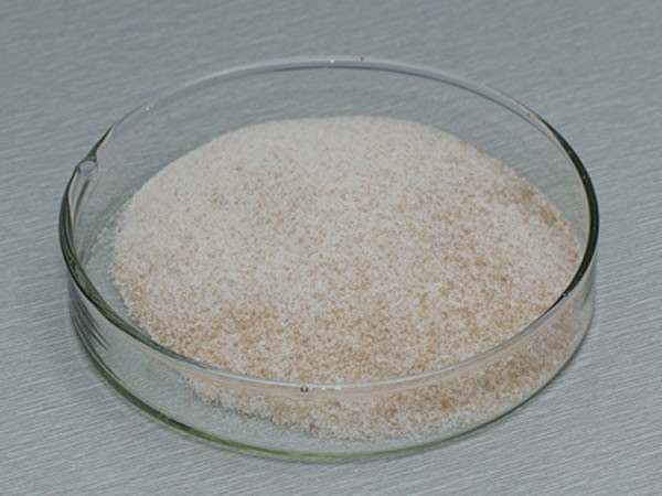 風(fēng)味酶（氨肽酶，復(fù)合風(fēng)味蛋白酶）Flavourzyme