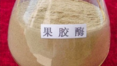 果膠酶的作用原理，正確使用方法與用量
