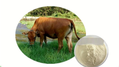 酶解豬牛皮制備膠原蛋白肽，為什么日本產(chǎn)品的價(jià)格比國內(nèi)的貴1倍？