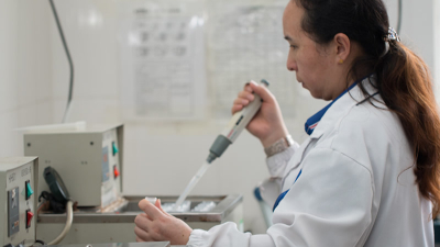 木瓜蛋白酶酶活力測定檢測方法，干貨分享！