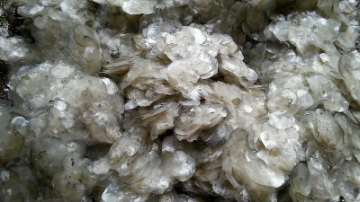 堿性蛋白酶酶解魚鱗制備膠原蛋白多肽，成品有沉淀？