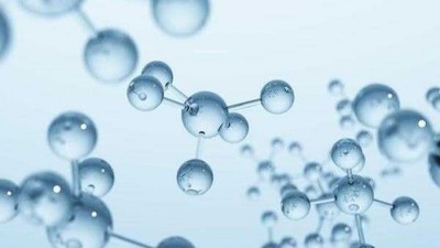 小分子魚皮膠原蛋白肽酶解，使用木瓜蛋白酶，還是堿性蛋白酶？