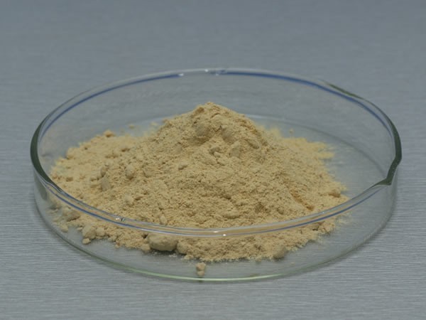 葡萄糖氧化酶 Glucose Oxidase