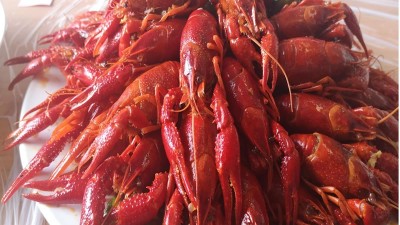 做酶好事業(yè)，享酶好生活，品酶力美食