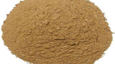 酶解金槍魚粉制取金槍魚蛋白多肽最佳選擇是什么？