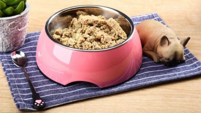 牛肉蛋白質(zhì)酶解制備寵物誘食劑，如何選酶？