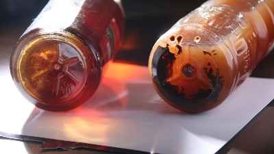 酒曲與酶制劑有什么區(qū)別？兩個可以同時使用嗎？