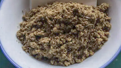 酶解復配技術(shù)，協(xié)同提升魚粉消化吸收率