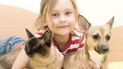 貓犬風(fēng)味劑生產(chǎn)選擇復(fù)合酶，還是單體酶制劑？