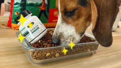 一文詳解寵物誘食劑有哪些種類？