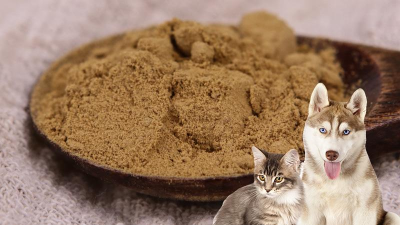 如何酶解雞肝粉生產(chǎn)熱反應型寵物誘食劑？