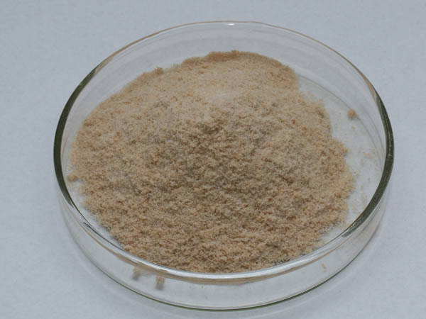 膜清洗酶（膜清洗劑，洗滌酶）