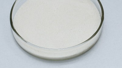 木瓜蛋白酶解鎖大豆植物蛋白的營養(yǎng)密碼