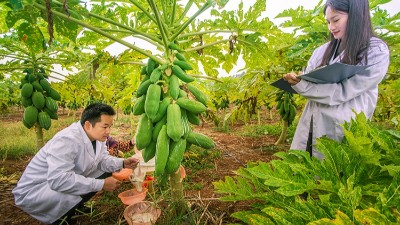 食品酶制劑在食品加工中的應(yīng)用